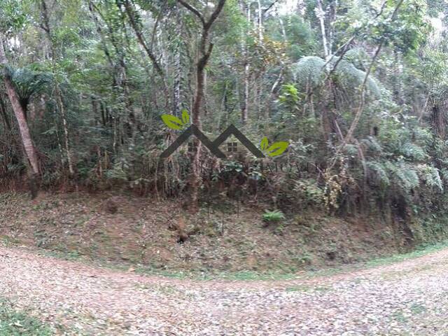 #t774a - Área para Venda em Campos do Jordão - SP - 1