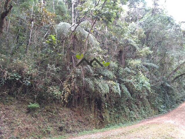 #t774a - Área para Venda em Campos do Jordão - SP - 3