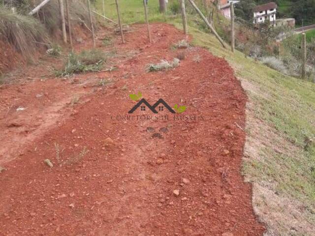 #t775a - Área para Venda em Campos do Jordão - SP - 3
