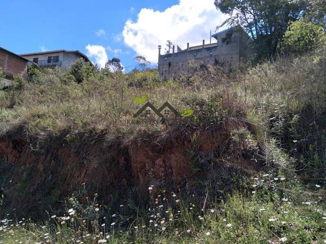 #t782a - Terreno para Venda em Campos do Jordão - SP - 2