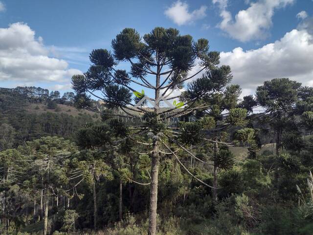 #a349a - Apartamento para Venda em Campos do Jordão - SP - 2