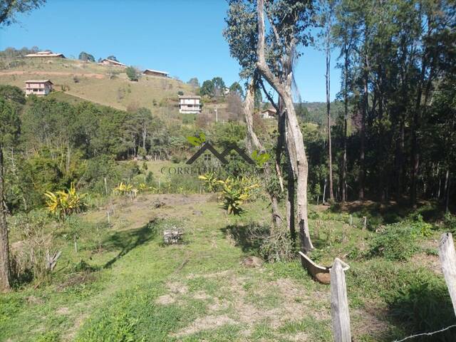 Venda em Bairro Machadinho - Santo Antônio do Pinhal