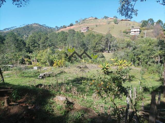 Área para Venda em Santo Antônio do Pinhal - 4