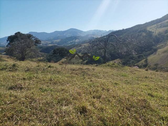 Área para Venda em Santo Antônio do Pinhal - 5