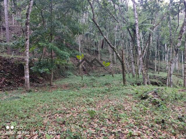 Venda em Alpes Campos do Jordão - Campos do Jordão
