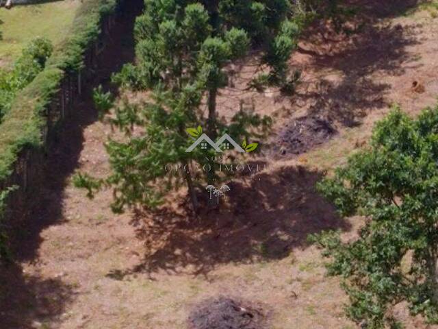 #t791a - Terreno para Venda em Campos do Jordão - SP - 3