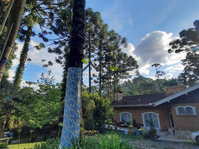 Casa para Venda em Campos do Jordão - 4
