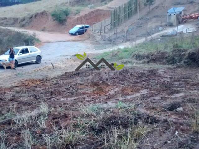 #t795a - Terreno para Venda em Tremembé - SP - 1