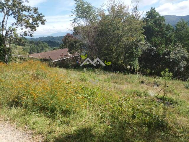 #t796a - Terreno para Venda em Campos do Jordão - SP