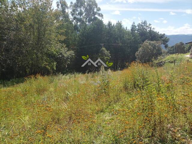 #t796a - Terreno para Venda em Campos do Jordão - SP