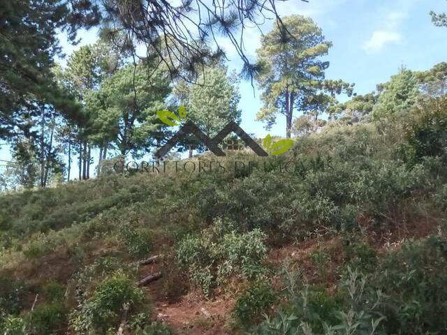 Terreno para Venda em Campos do Jordão - 4