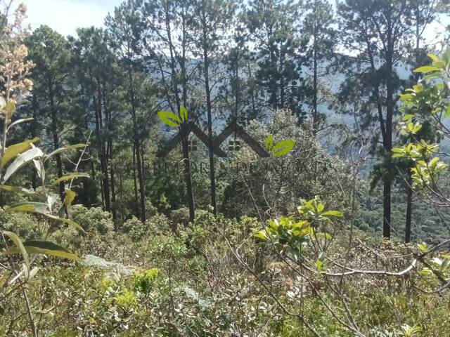 Terreno para Venda em Campos do Jordão - 5