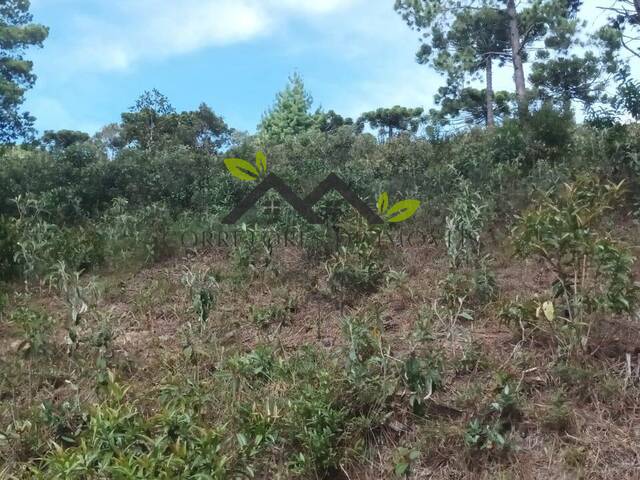 #t797a - Terreno para Venda em Campos do Jordão - SP - 2