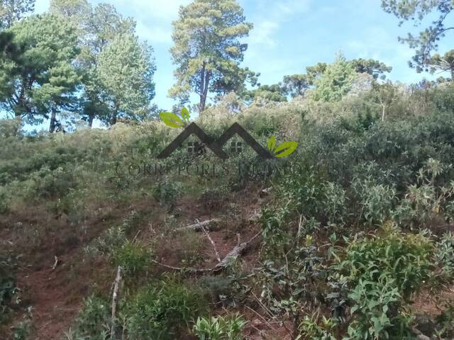 #t797a - Terreno para Venda em Campos do Jordão - SP