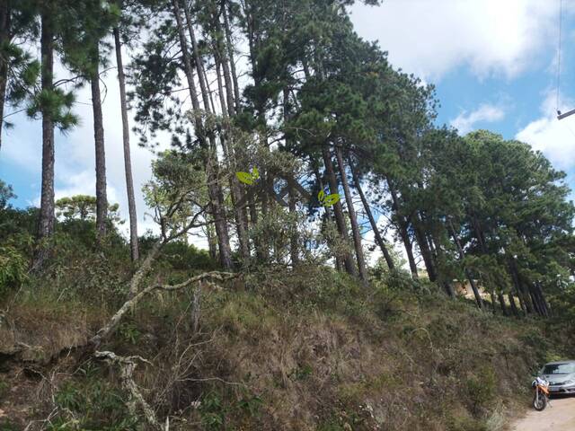 #t797a - Terreno para Venda em Campos do Jordão - SP - 1