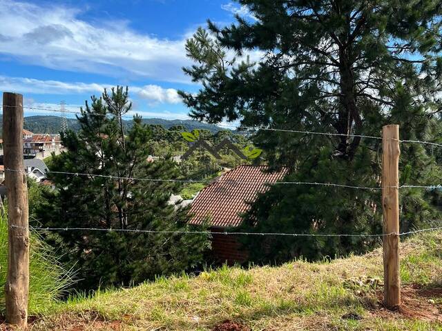 #t798a - Terreno para Venda em Campos do Jordão - SP - 3