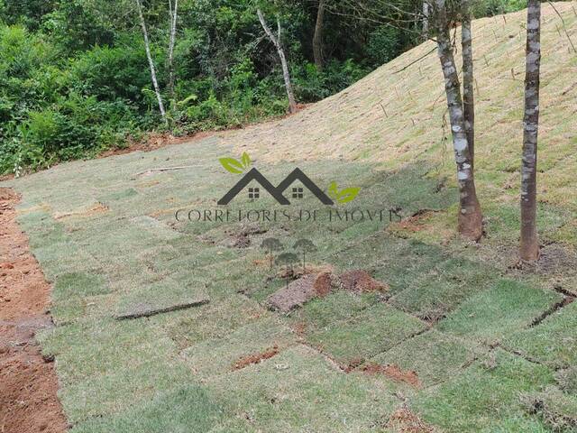 #t801a - Terreno para Venda em Campos do Jordão - SP