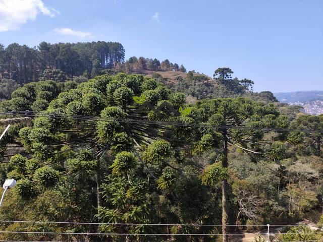 #c2140a - Casa para Venda em Campos do Jordão - SP - 2