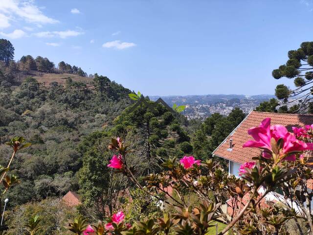 Casa para Venda em Campos do Jordão - 4