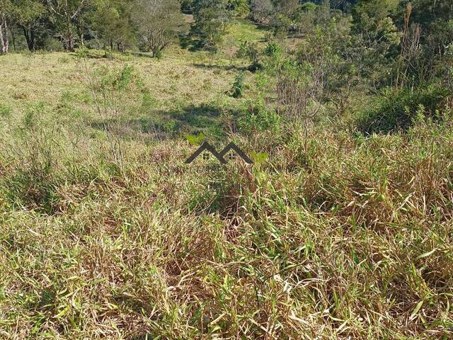 #t802a - Área para Venda em Campos do Jordão - SP - 1