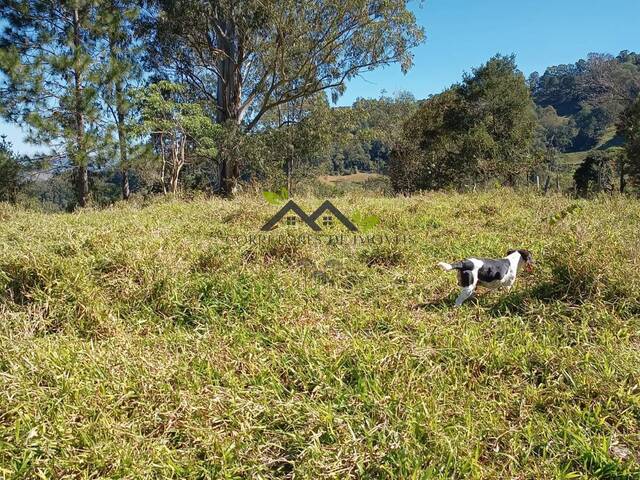 Área para Venda em Campos do Jordão - 4