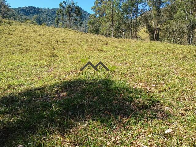 #t802a - Área para Venda em Campos do Jordão - SP - 2