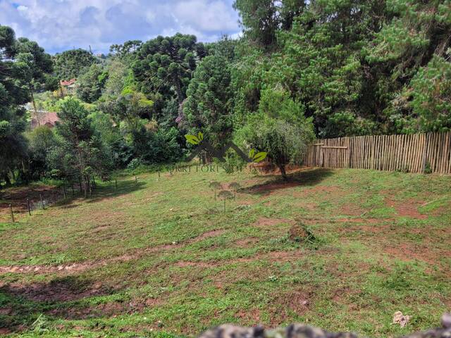 Terreno para Venda em Campos do Jordão - 4