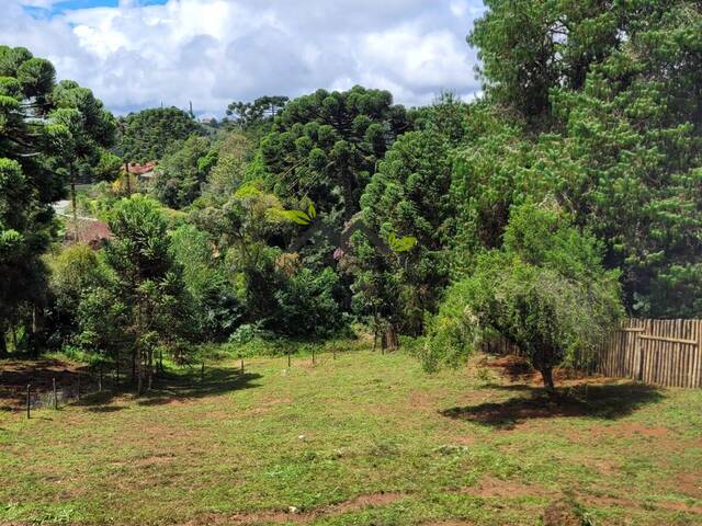 #t803a - Terreno para Venda em Campos do Jordão - SP