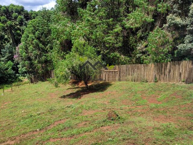#t803a - Terreno para Venda em Campos do Jordão - SP
