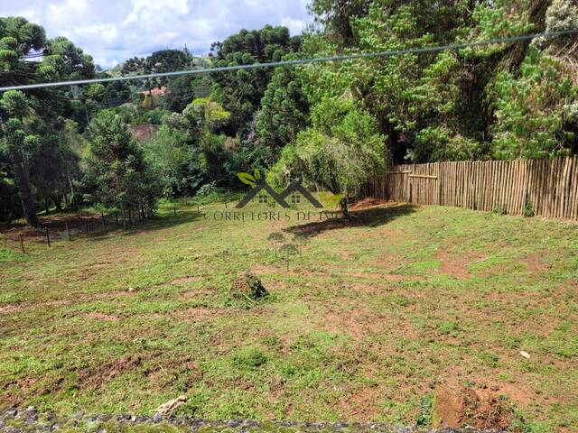#t803a - Terreno para Venda em Campos do Jordão - SP