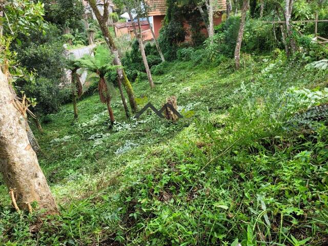 #2689 - Terreno para Venda em Campos do Jordão - SP - 2
