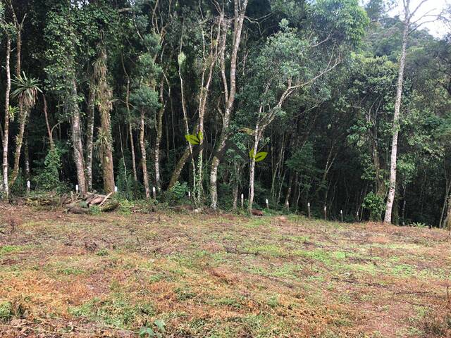 #t706a - Terreno para Venda em Campos do Jordão - SP