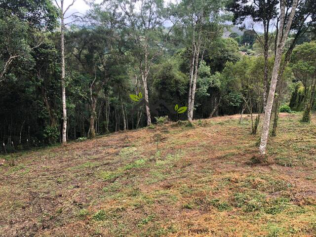 #t706a - Terreno para Venda em Campos do Jordão - SP
