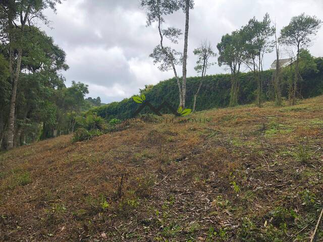 #t706a - Terreno para Venda em Campos do Jordão - SP