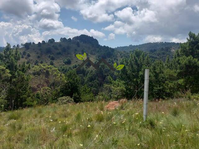 #t807a - Área para Venda em Campos do Jordão - SP - 2