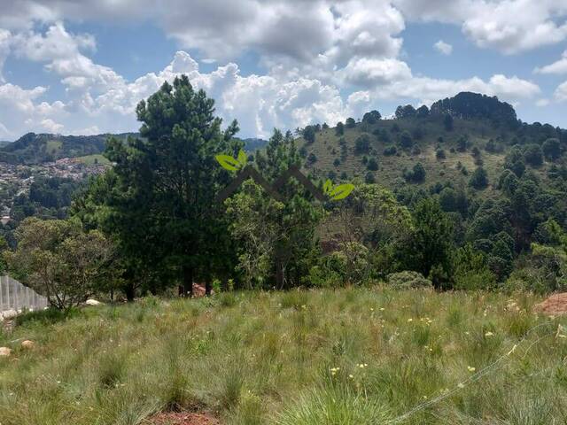 #t807a - Área para Venda em Campos do Jordão - SP - 1