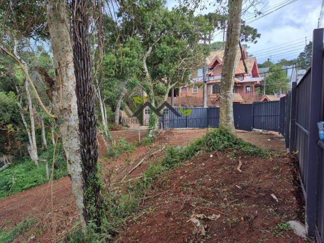 Terreno para Venda em Campos do Jordão - 4
