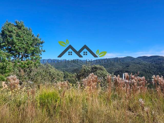 #t809a - Área para Venda em Campos do Jordão - SP - 2