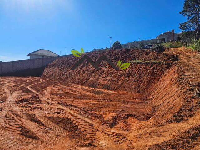 Área para Venda em Campos do Jordão - 5