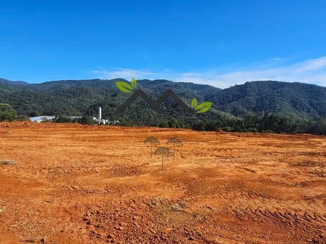 #t810a - Área para Venda em Campos do Jordão - SP - 1