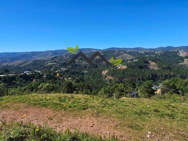 #t812a - Área para Venda em Campos do Jordão - SP - 3