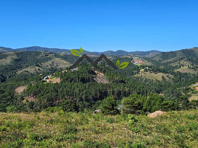 #t812a - Área para Venda em Campos do Jordão - SP - 1