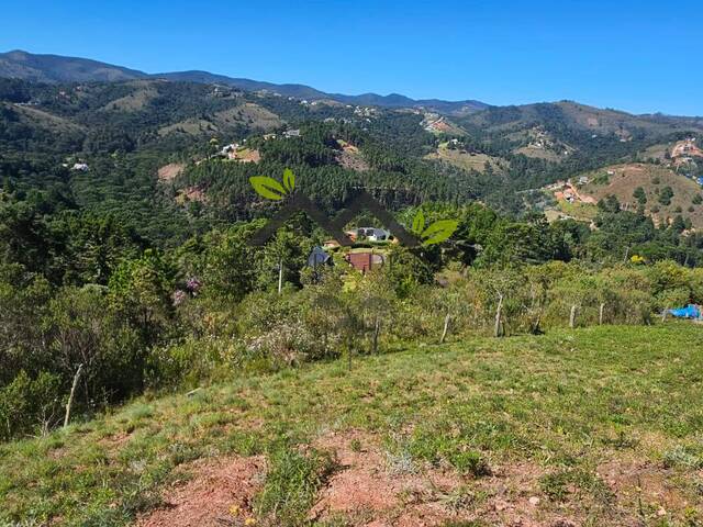#t812a - Área para Venda em Campos do Jordão - SP - 2