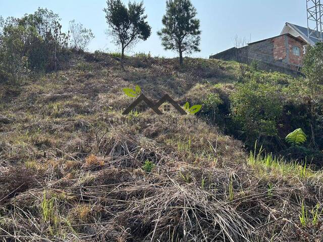 Área para Venda em Campos do Jordão - 5