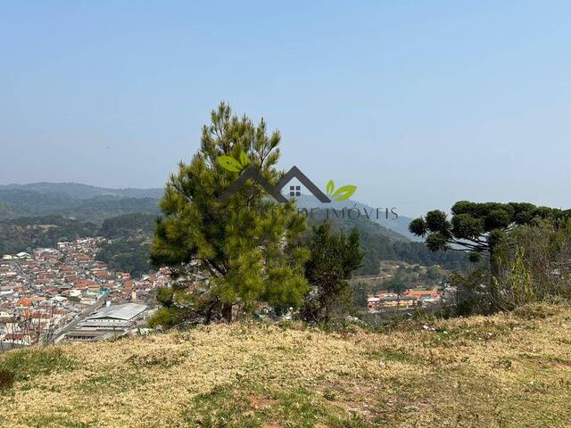 #t813a - Área para Venda em Campos do Jordão - SP - 1