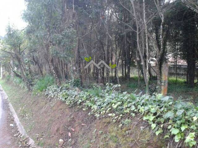 Terreno para Venda em Campos do Jordão - 4
