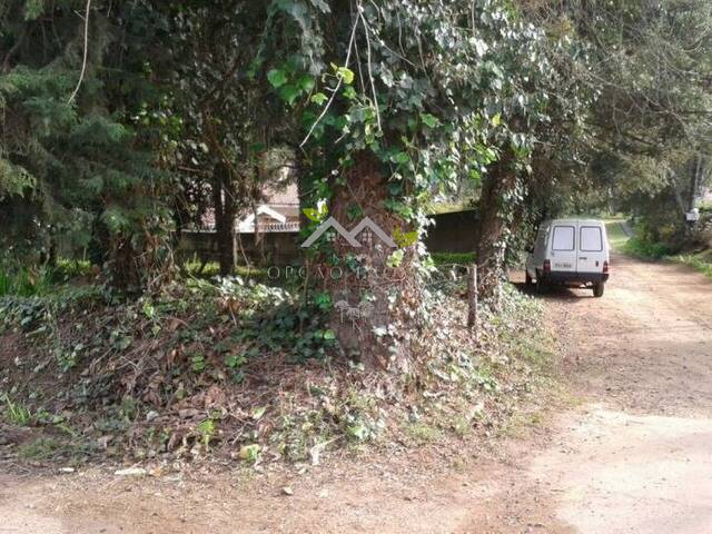 Terreno para Venda em Campos do Jordão - 5