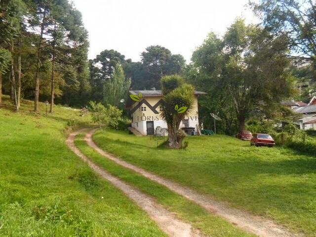 #s187 - Chácara para Venda em Campos do Jordão - SP - 1