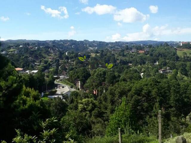 Casa para Venda em Campos do Jordão - 5