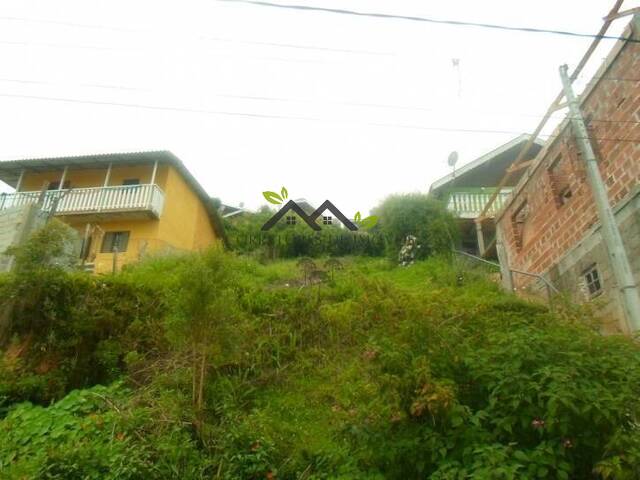 #t690a - Terreno para Venda em Campos do Jordão - SP - 2